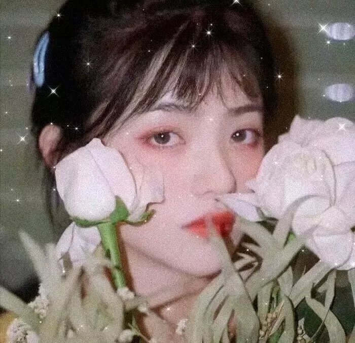 花游记